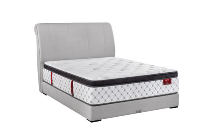 TempSmart 5.0 Regina II