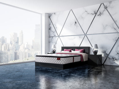 TempSmart 5.0 Regina I