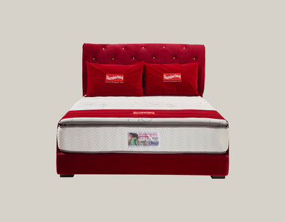 ErgoBed (1200 Plus)