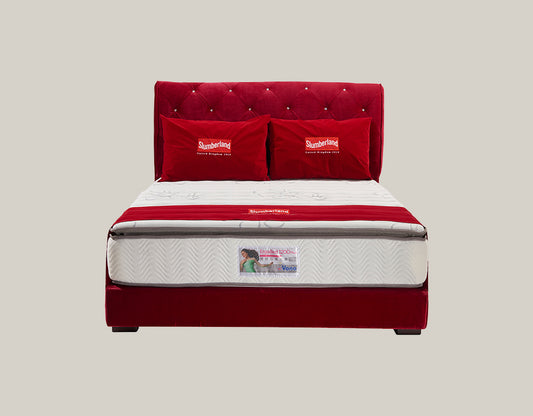 ErgoBed (1200 Plus)